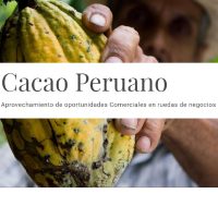 Cacao Peruano - Aprovechamiento de oportunidades Comerciales en ruedas de negocios-min